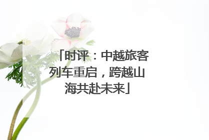 时评：中越旅客列车重启，跨越山海共赴未来