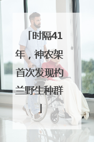 时隔41年，神农架首次发现杓兰野生种群