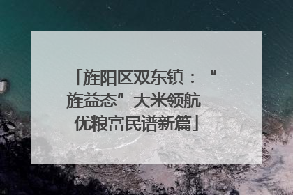 旌阳区双东镇：“旌益态”大米领航 优粮富民谱新篇