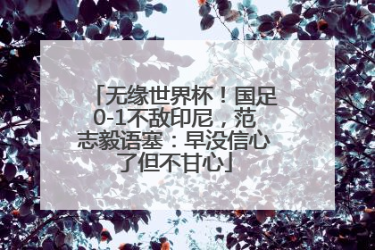 无缘世界杯！国足0-1不敌印尼，范志毅语塞：早没信心了但不甘心
