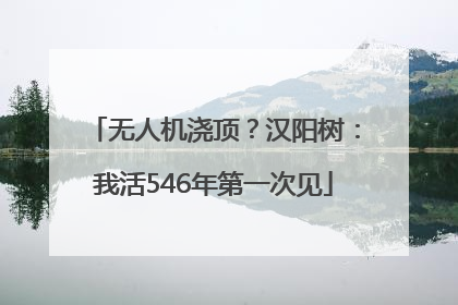 无人机浇顶？汉阳树：我活546年第一次见