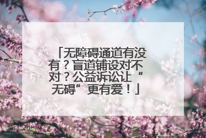 无障碍通道有没有？盲道铺设对不对？公益诉讼让“无碍”更有爱！