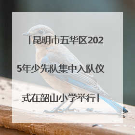 昆明市五华区2025年少先队集中入队仪式在韶山小学举行