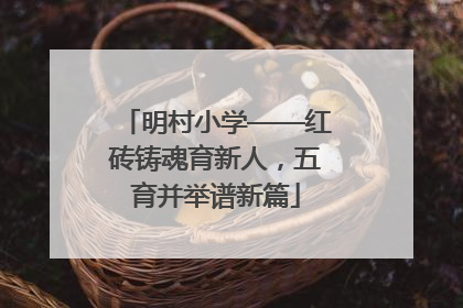 明村小学——红砖铸魂育新人，五育并举谱新篇