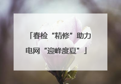 春检“精修”助力电网“迎峰度夏”