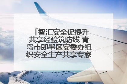 智汇安全促提升 共享经验筑防线 青岛市即墨区安委办组织安全生产共享专家现场观摩学习活动