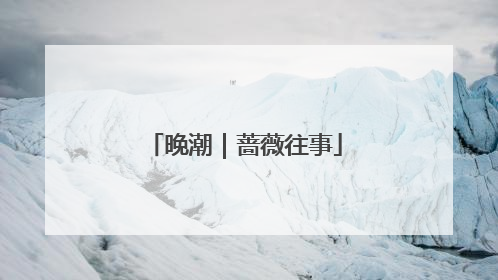 晚潮｜蔷薇往事