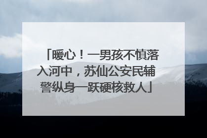 暖心！一男孩不慎落入河中，苏仙公安民辅警纵身一跃硬核救人