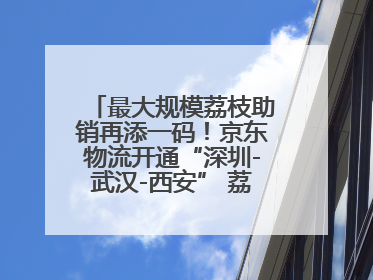 最大规模荔枝助销再添一码！京东物流开通“深圳-武汉-西安” 荔枝全货机航线