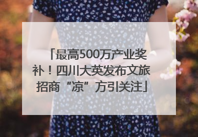 最高500万产业奖补！四川大英发布文旅招商“凉”方引关注