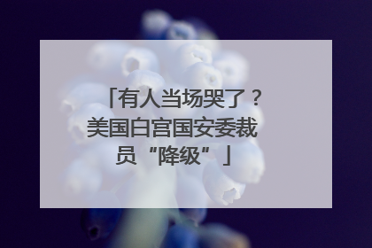 有人当场哭了？美国白宫国安委裁员“降级”