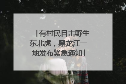有村民目击野生东北虎，黑龙江一地发布紧急通知