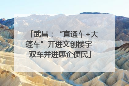 武昌：“直通车+大篷车”开进文创楼宇 双车并进惠企便民