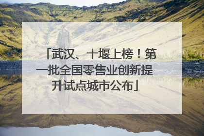 武汉、十堰上榜！第一批全国零售业创新提升试点城市公布
