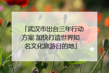 武汉市出台三年行动方案 加快打造世界知名文化旅游目的地