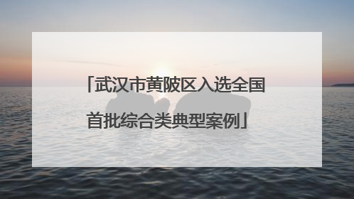 武汉市黄陂区入选全国首批综合类典型案例