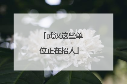 武汉这些单位正在招人