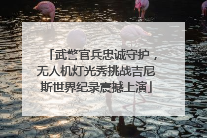 武警官兵忠诚守护，无人机灯光秀挑战吉尼斯世界纪录震撼上演