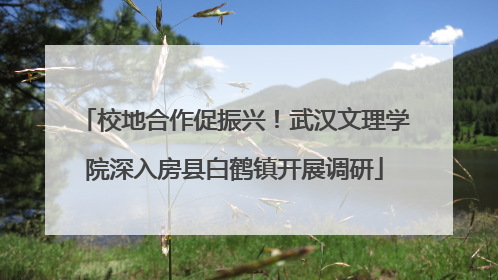 校地合作促振兴！武汉文理学院深入房县白鹤镇开展调研
