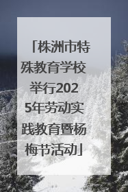 株洲市特殊教育学校举行2025年劳动实践教育暨杨梅节活动