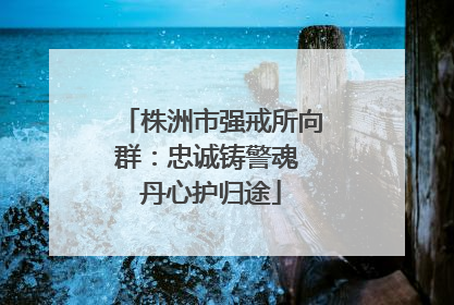 株洲市强戒所向群：忠诚铸警魂 丹心护归途
