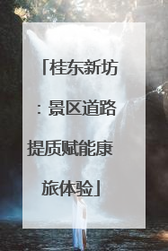 桂东新坊：景区道路提质赋能康旅体验