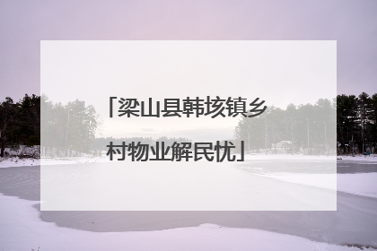 梁山县韩垓镇乡村物业解民忧