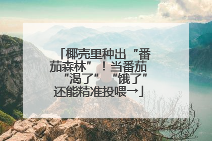 椰壳里种出“番茄森林”！当番茄“渴了”“饿了”还能精准投喂→