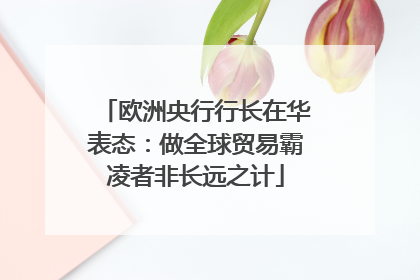 欧洲央行行长在华表态：做全球贸易霸凌者非长远之计
