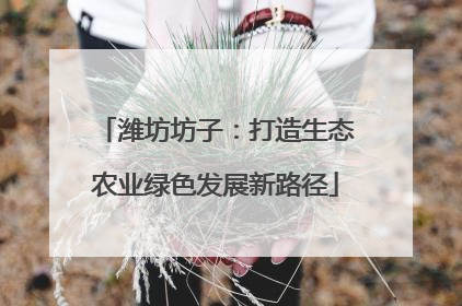 潍坊坊子：打造生态农业绿色发展新路径