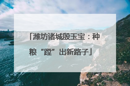 潍坊诸城殷玉宝：种粮“蹚”出新路子