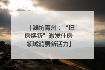 潍坊青州：“旧房焕新”激发住房领域消费新活力