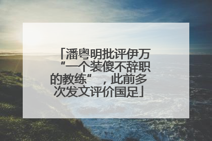潘粤明批评伊万“一个装傻不辞职的教练”，此前多次发文评价国足