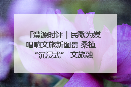 澧源时评｜民歌为媒唱响文旅新图景 桑植 “沉浸式” 文旅融合的破圈启示