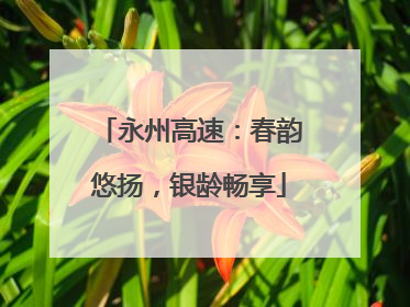 永州高速：春韵悠扬，银龄畅享