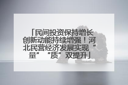 民间投资保持增长 创新动能持续增强！河北民营经济发展实现“量”“质”双提升