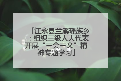 江永县兰溪瑶族乡：组织三级人大代表开展“三会三文”精神专题学习