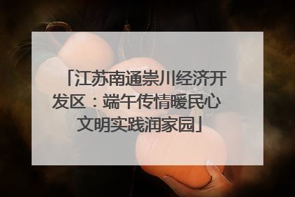 江苏南通崇川经济开发区：端午传情暖民心 文明实践润家园