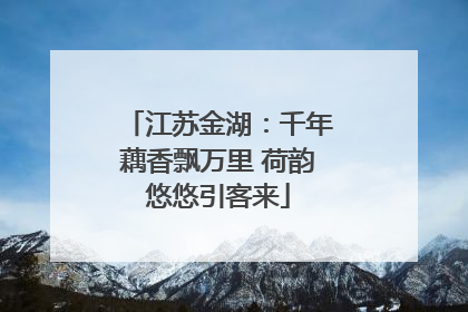 江苏金湖：千年藕香飘万里 荷韵悠悠引客来