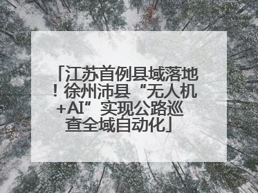 江苏首例县域落地！徐州沛县“无人机+AI”实现公路巡查全域自动化