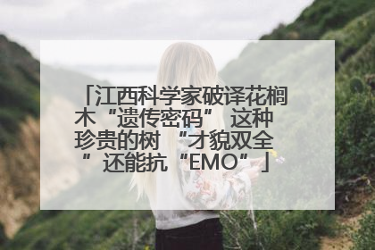 江西科学家破译花榈木“遗传密码” 这种珍贵的树 “才貌双全”还能抗“EMO”