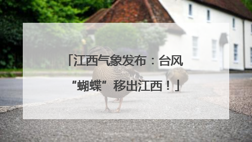 江西气象发布：台风“蝴蝶”移出江西！