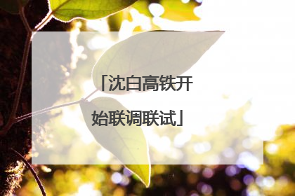 沈白高铁开始联调联试