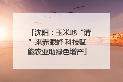 沈阳：玉米地“请”来赤眼蜂 科技赋能农业助绿色增产