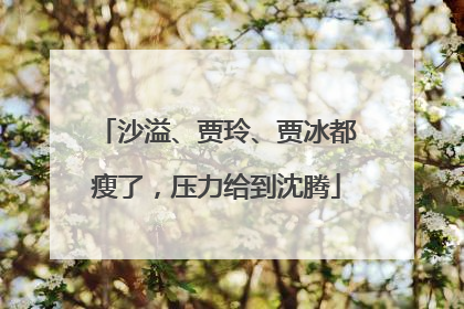 沙溢、贾玲、贾冰都瘦了，压力给到沈腾