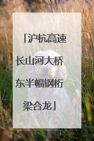 沪杭高速长山河大桥东半幅钢桁梁合龙