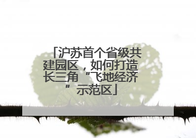 沪苏首个省级共建园区，如何打造长三角“飞地经济”示范区