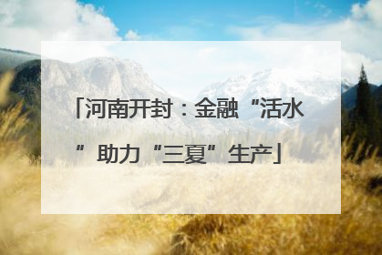 河南开封：金融“活水”助力“三夏”生产