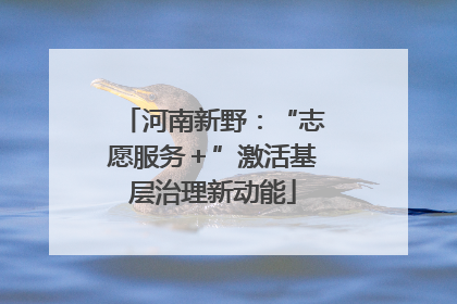 河南新野：“志愿服务＋”激活基层治理新动能
