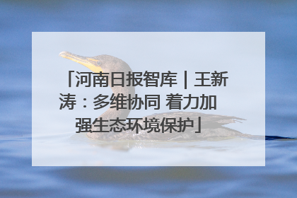 河南日报智库｜王新涛：多维协同 着力加强生态环境保护